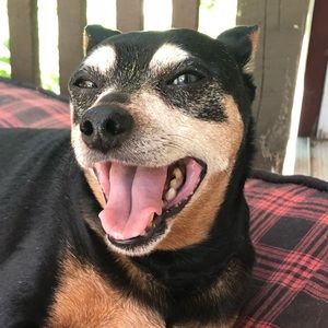 Meet your Posher, Stacey